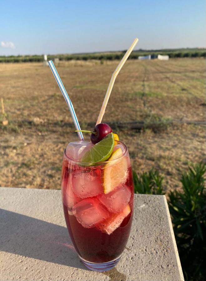 Quinta Da Amoreira Ferreira Do Alentejo Zewnętrze zdjęcie